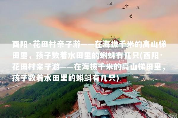 酉阳·花田村亲子游——在海拔千米的高山梯田里，孩子数着水田里的蝌蚪有几只(酉阳·花田村亲子游——在海拔千米的高山梯田里，孩子数着水田里的蝌蚪有几只)