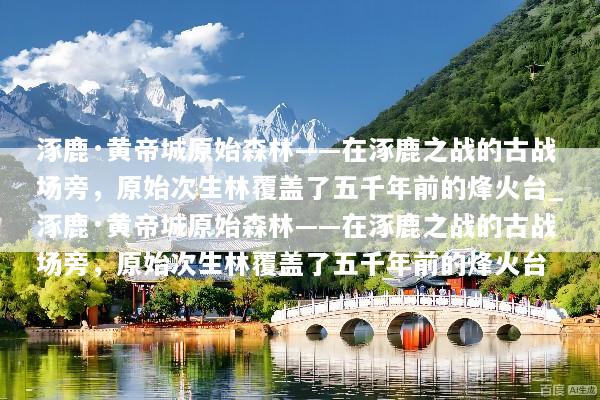 文章配图