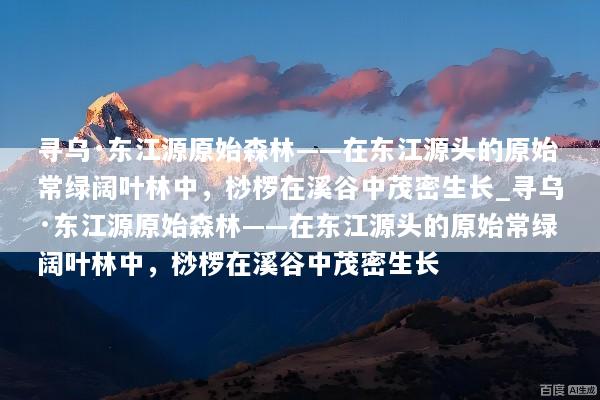 文章配图