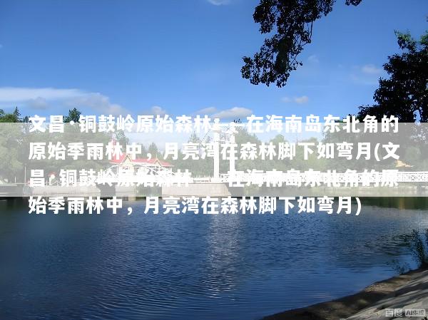 文昌·铜鼓岭原始森林——在海南岛东北角的原始季雨林中，月亮湾在森林脚下如弯月(文昌·铜鼓岭原始森林——在海南岛东北角的原始季雨林中，月亮湾在森林脚下如弯月)