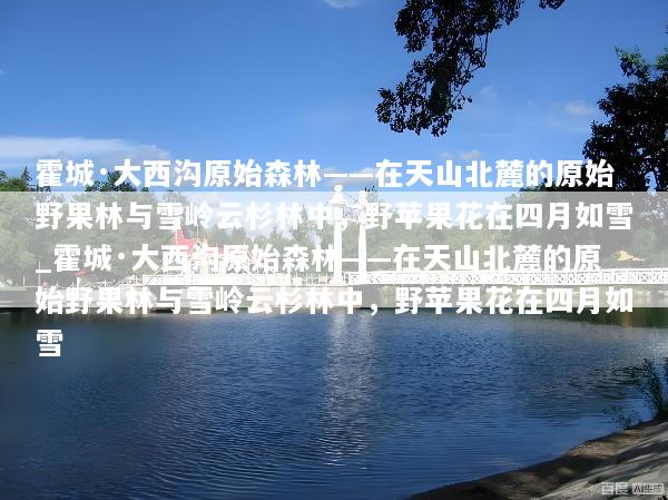 霍城·大西沟原始森林——在天山北麓的原始野果林与雪岭云杉林中，野苹果花在四月如雪_霍城·大西沟原始森林——在天山北麓的原始野果林与雪岭云杉林中，野苹果花在四月如雪