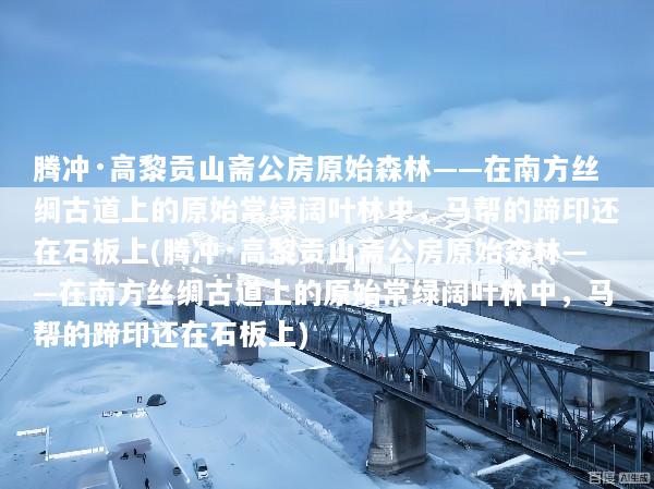 腾冲·高黎贡山斋公房原始森林——在南方丝绸古道上的原始常绿阔叶林中，马帮的蹄印还在石板上(腾冲·高黎贡山斋公房原始森林——在南方丝绸古道上的原始常绿阔叶林中，马帮的蹄印还在石板上)