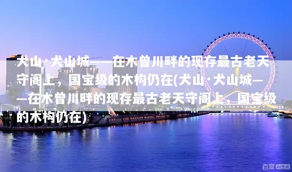 文章配图