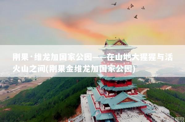 刚果·维龙加国家公园——在山地大猩猩与活火山之间(刚果金维龙加国家公园)
