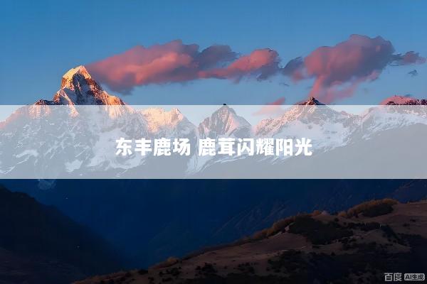 东丰鹿场 鹿茸闪耀阳光
