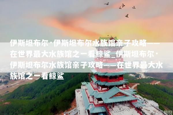 伊斯坦布尔·伊斯坦布尔水族馆亲子攻略——在世界最大水族馆之一看鲸鲨_伊斯坦布尔·伊斯坦布尔水族馆亲子攻略——在世界最大水族馆之一看鲸鲨