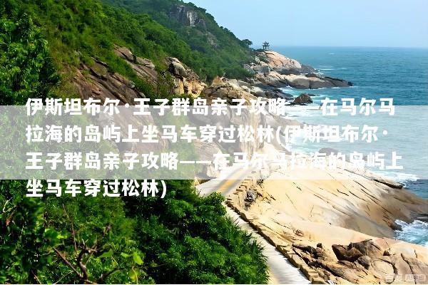 伊斯坦布尔·王子群岛亲子攻略——在马尔马拉海的岛屿上坐马车穿过松林(伊斯坦布尔·王子群岛亲子攻略——在马尔马拉海的岛屿上坐马车穿过松林)