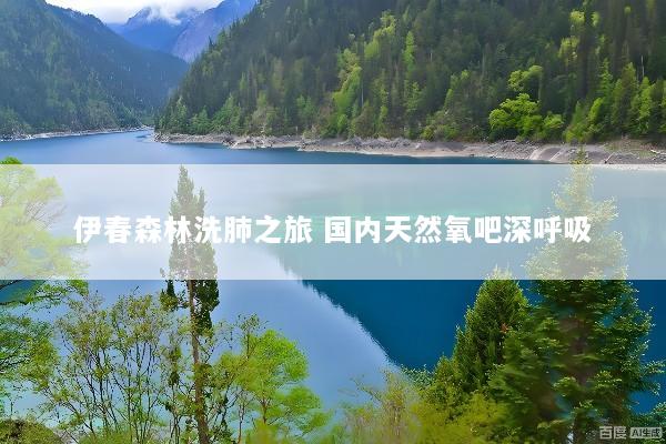 伊春森林洗肺之旅 国内天然氧吧深呼吸