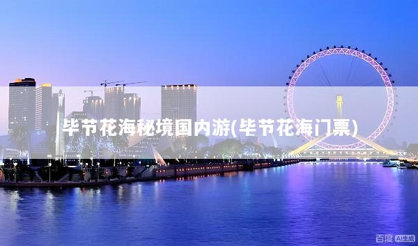 毕节花海秘境国内游(毕节花海门票)