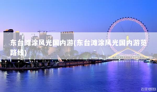 东台滩涂风光国内游(东台滩涂风光国内游览路线)