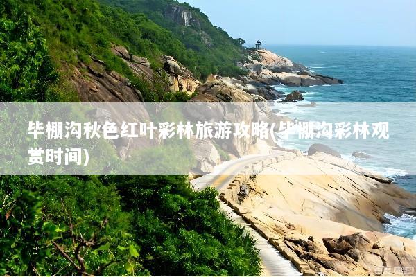 毕棚沟秋色红叶彩林旅游攻略(毕棚沟彩林观赏时间)